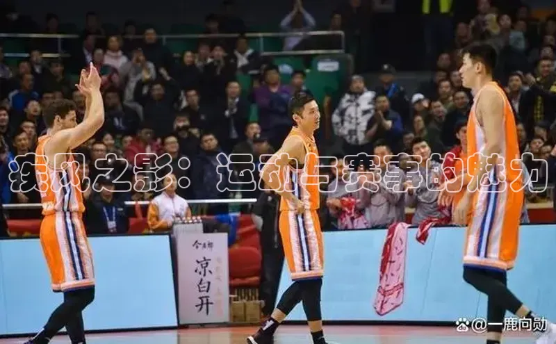 beat365亚洲体育在线官网百度营销中心疾风之影：运动与赛事的魅力