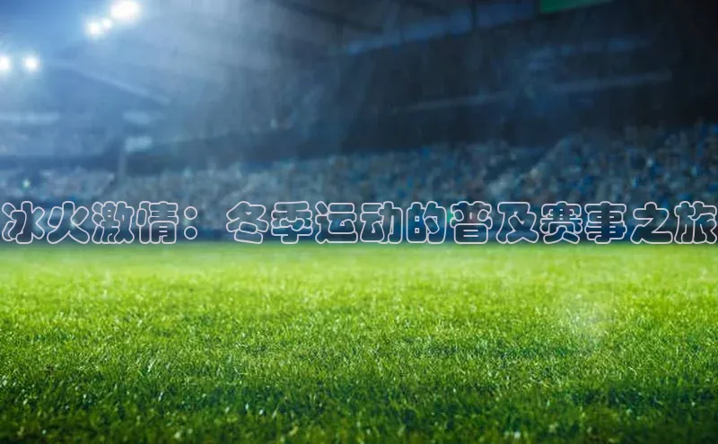 冰火激情：冬季运动的普及赛事之旅